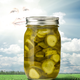 Image for article titled An American Pickle: How a chance meeting enhanced a cucumber farmer’s bread and butter